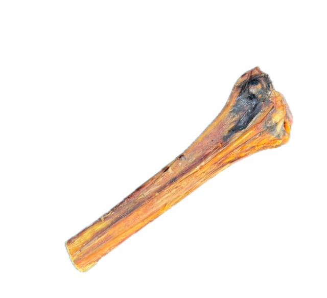 Ostrich Metatarsus Bone
