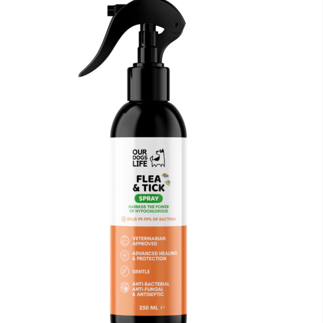 Flea & Tick spray
